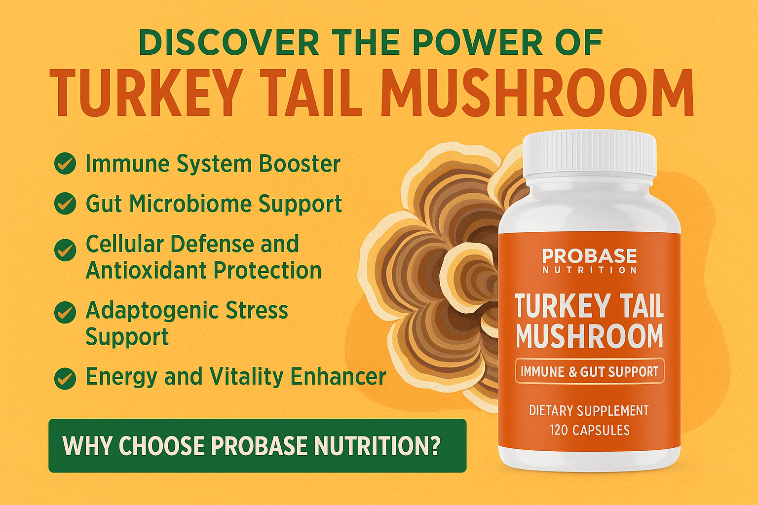 Discover the Power of Turkey Tail Mushroom with Probase Nutrition