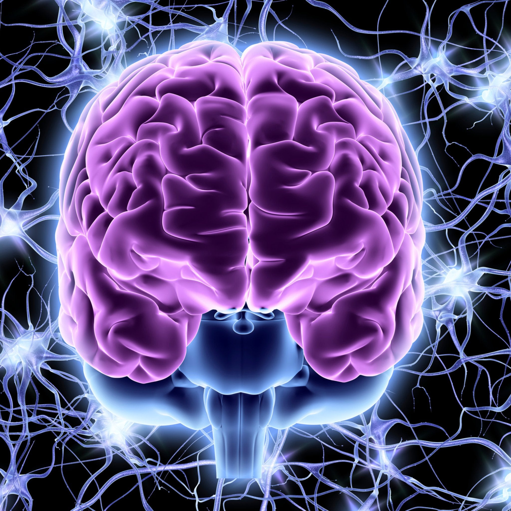 Probase Nutrition NMN Powder: Unraveling the Benefits Backed by Clinical Studies - Probase Nutrition