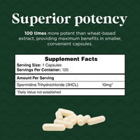 Thumbnail for Probase Nutrition Spermidine (10mg of 99% Spermidine 3HCL - Third Party Tested) 120 Capsules - 100x More Potent Than Wheat Germ Extract, Telomere Health and Aging 120-Day Supply - As efficient as NMN