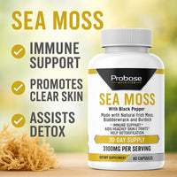 Thumbnail for Probase Nutrition Sea Moss 60 Capsules 30-Day Supply