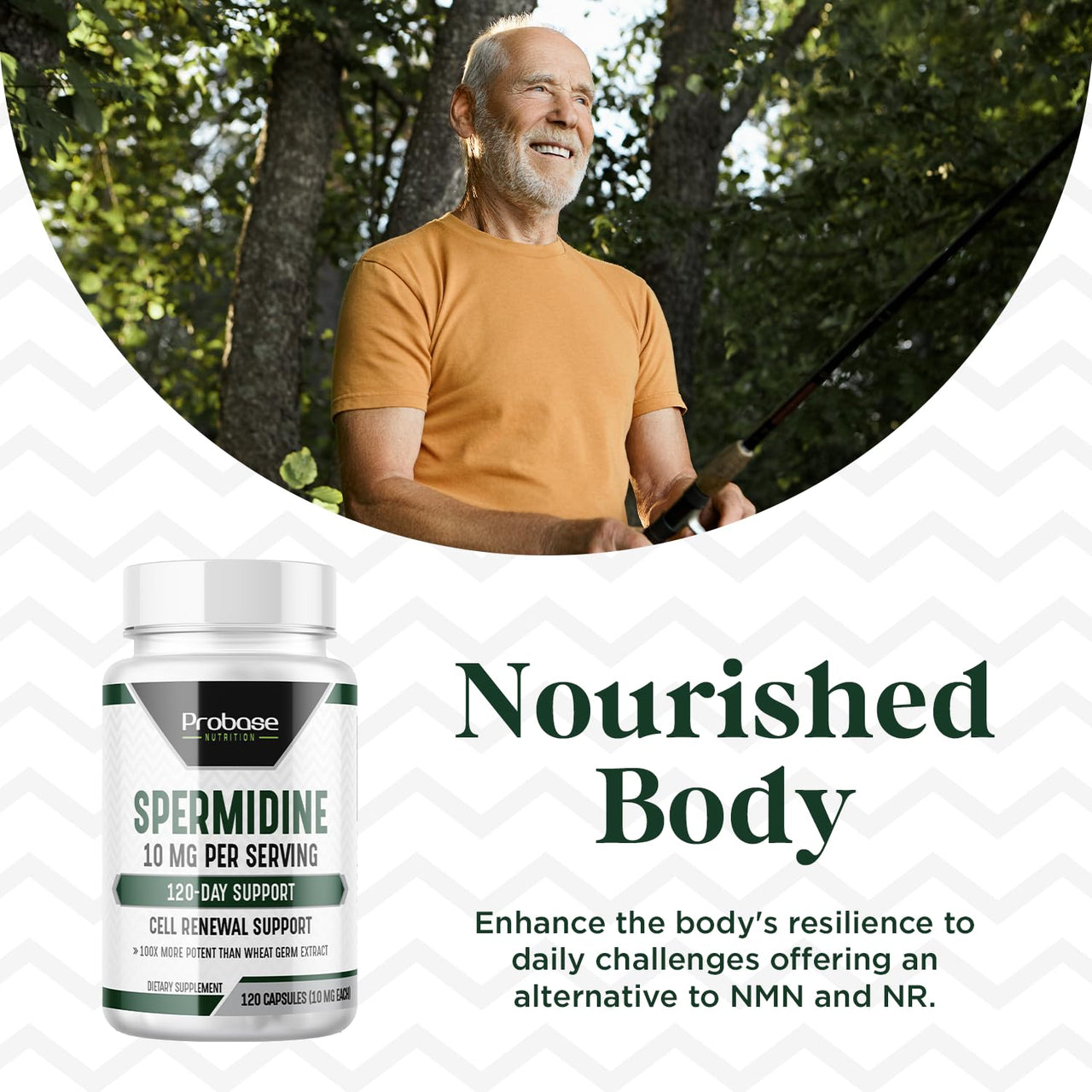 Probase Nutrition Spermidine (10mg of 99% Spermidine 3HCL - Third Party Tested) 120 Capsules - 100x More Potent Than Wheat Germ Extract, Telomere Health and Aging 120-Day Supply - As efficient as NMN