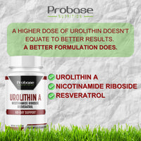 Thumbnail for Urolithin A with Added NR and Resveratrol Supplement