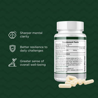 Thumbnail for Nicotinamide Riboside (NR) Supplement