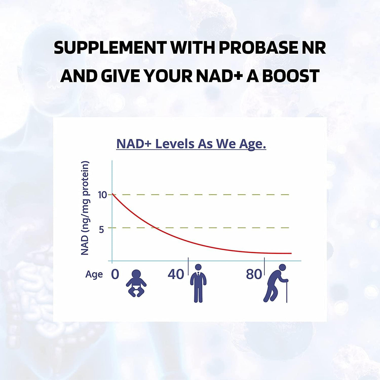 Nicotinamide Riboside (NR) Capsules 30ct/500mg NAD+ Boosting Supplement - Probase Nutrition
