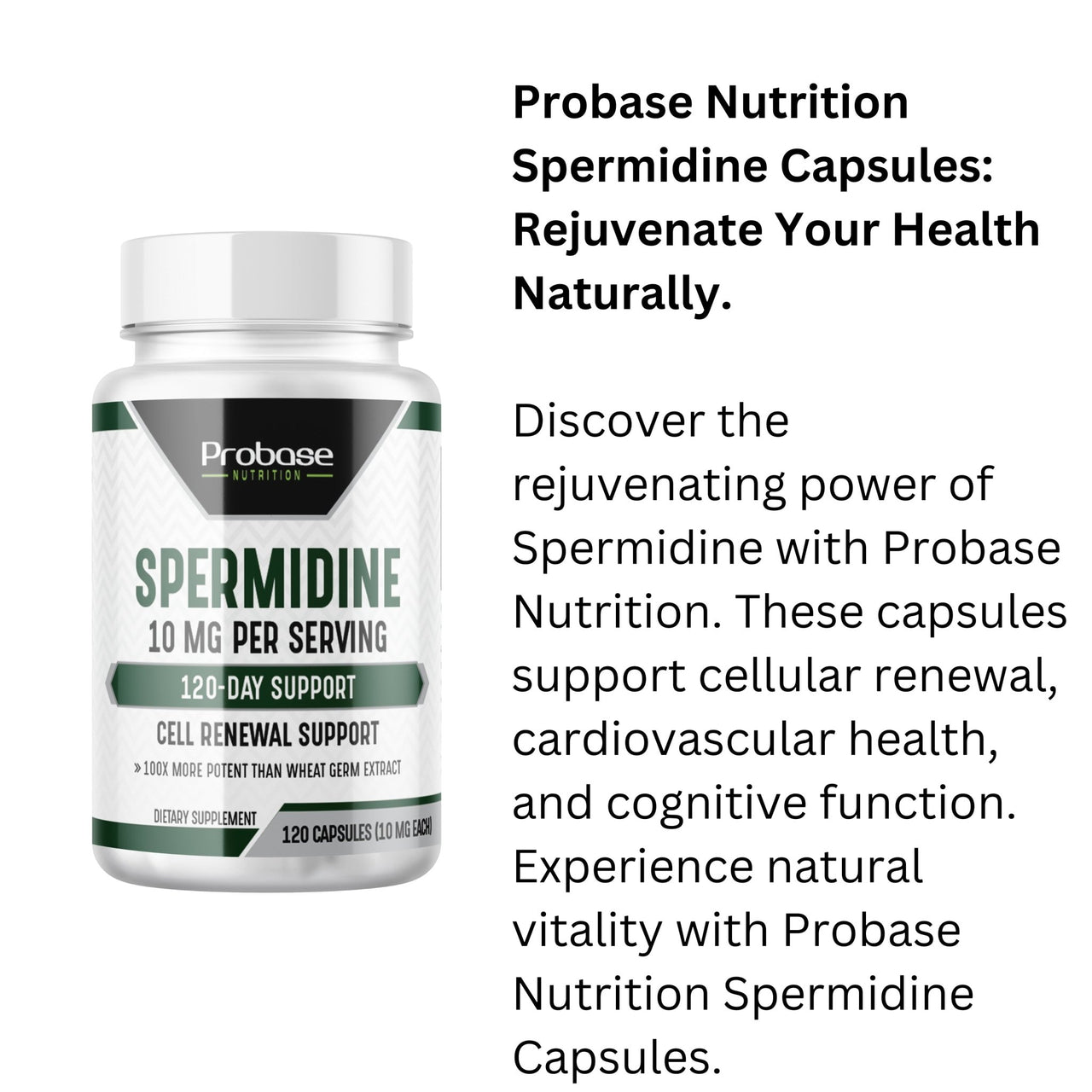 Probase Spermidine Supplement (10mg of 99% Spermidine 3HCL - Third Party Tested) 120 Capsules - Over 100x More Potent Than Wheat Germ Extract for Cell Membrane, Telomere Health and Aging - Probase Nutrition