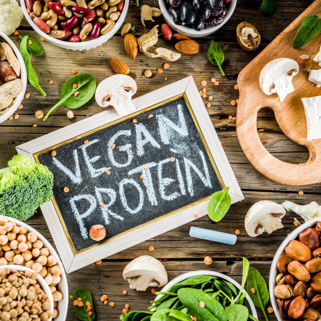Why This Vegan Protein Powder May be Better for You - Probase Nutrition
