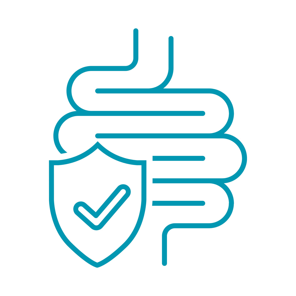 Gut Health