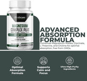 Magnesium Complex Plus with Magnesium Malate, Glycinate, L-Theanine, and Choline High Absorption Formula 60 Capsules 30-Day Supply