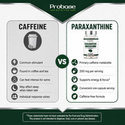 Probase Nutrition Paraxanthine 200mg Capsules for Clean Energy & Focus 30ct