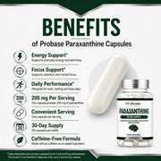 Probase Nutrition Paraxanthine 200mg Capsules for Clean Energy & Focus 30ct