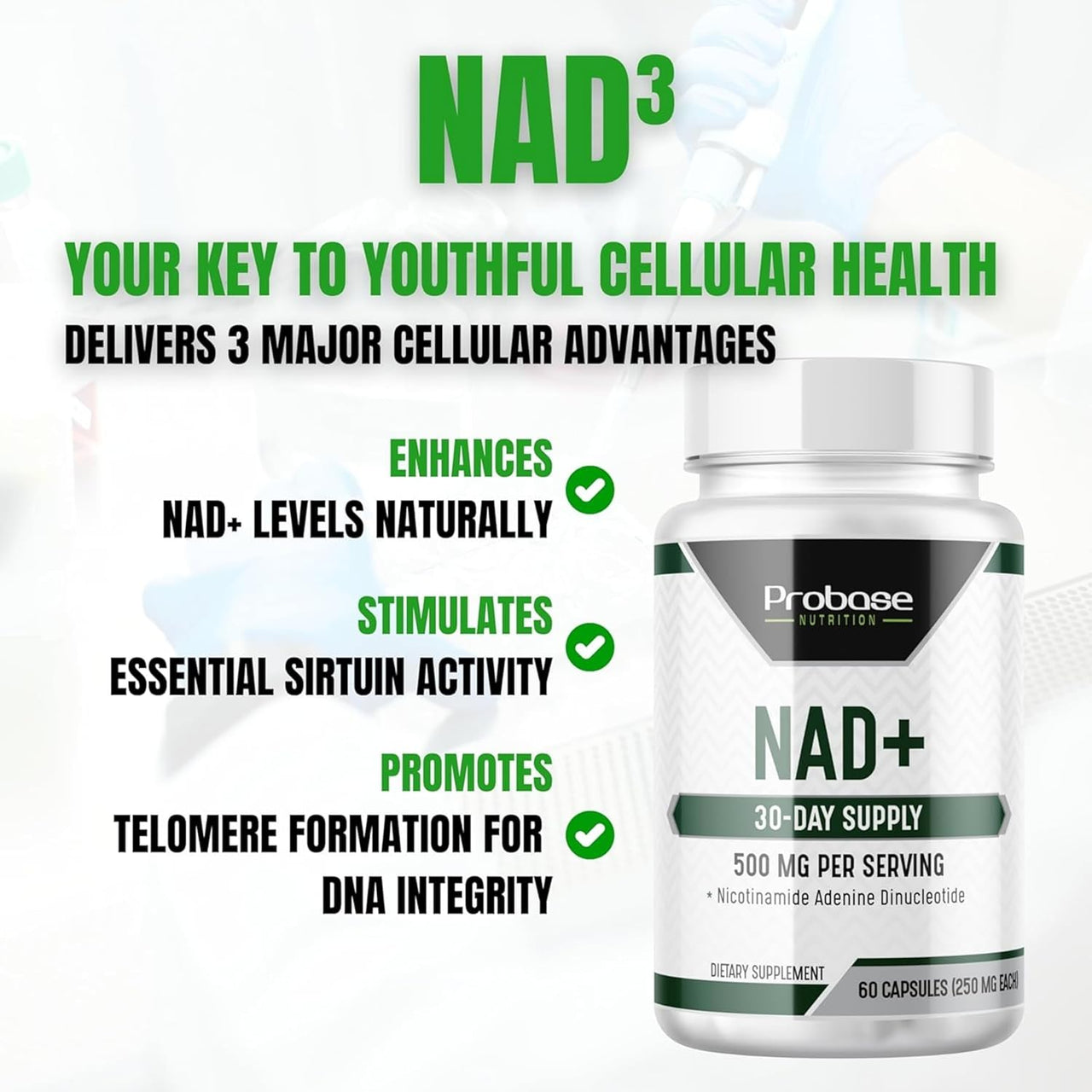 NAD+ Supplement