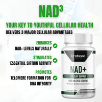 Thumbnail for NAD+ Supplement