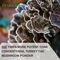 Thumbnail for Turkey Tail Mushroom Supplement (120 Capsules - 4 Month Supply) (Coriolus Versicolor) Non-GMO