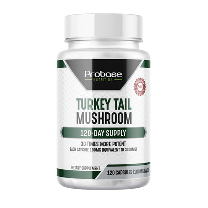 Turkey Tail Mushroom Supplement