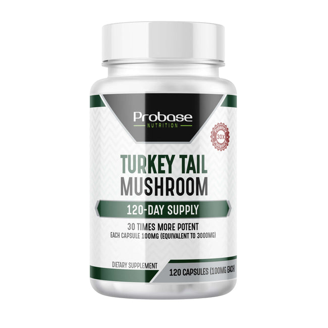 Turkey Tail Mushroom Supplement