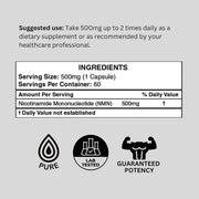 NMN Capsules 60 Count (500mg Each)- Guaranteed over 98% purity- 30-Day Supply - Probase Nutrition