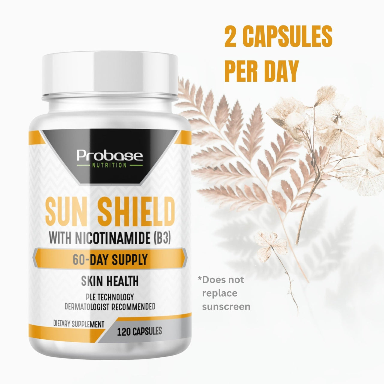 Probase Advanced Niacinamide B3 Supplement - Niacinamide 500mg and PLE Extract 240mg Per Serving - Supports Skin Cell Health and Antioxidant-Rich Vitamin B3 Niacin - 120 Capsules - Probase Nutrition