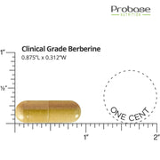 Probase Premium Berberine HCI 1200mg, 120 Capsules - Plus Ceylon Cinnamon Extract 10:1, Berberine HCL Root Supplements Pills - Supports Glucose Metabolism, Immune System, Healthy Weight Management - Probase Nutrition