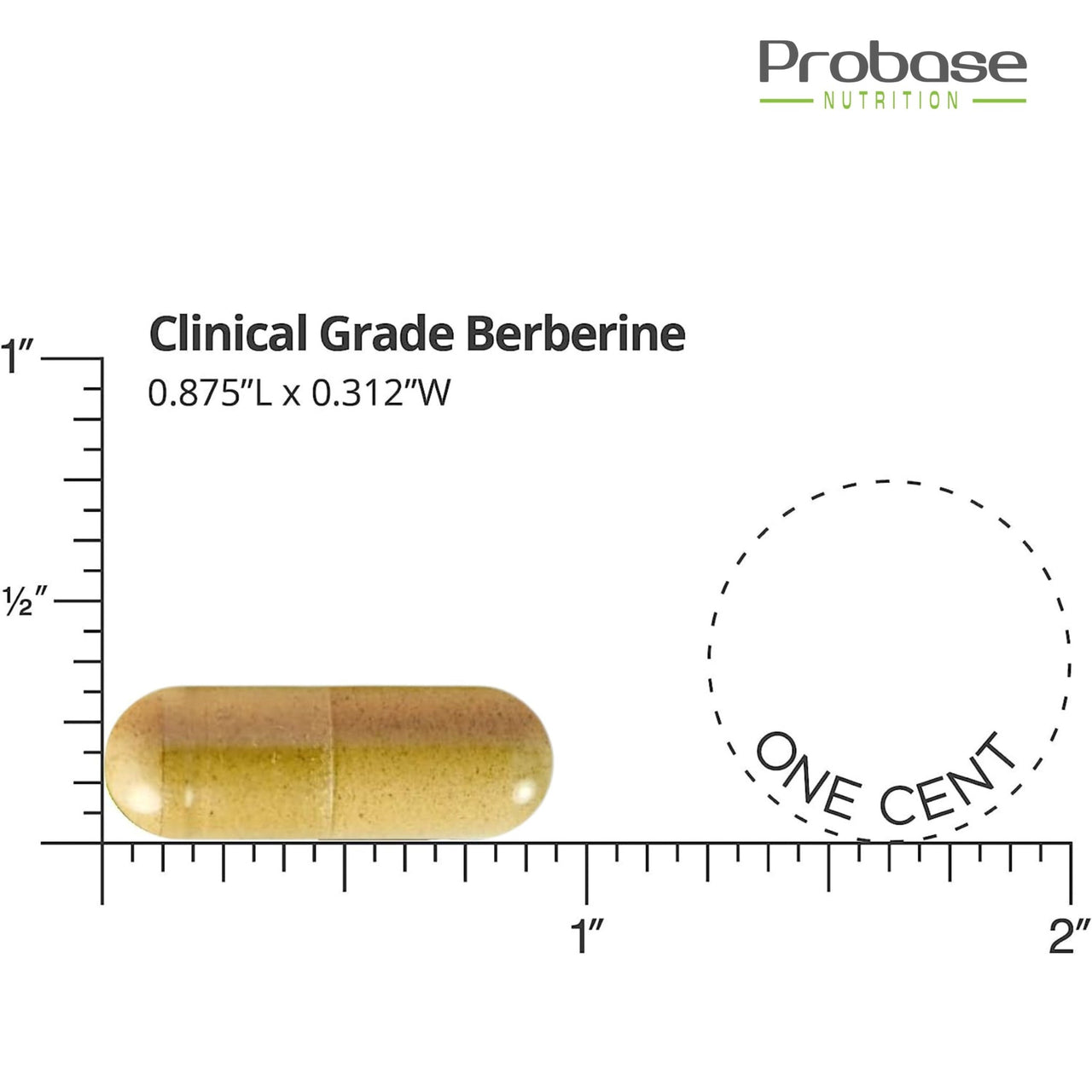 Probase Premium Berberine HCI 1200mg, 120 Capsules - Plus Ceylon Cinnamon Extract 10:1, Berberine HCL Root Supplements Pills - Supports Glucose Metabolism, Immune System, Healthy Weight Management - Probase Nutrition