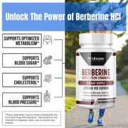 Probase Premium Berberine HCI 1200mg, 120 Capsules - Plus Ceylon Cinnamon Extract 10:1, Berberine HCL Root Supplements Pills - Supports Glucose Metabolism, Immune System, Healthy Weight Management - Probase Nutrition