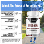 Probase Premium Berberine HCI 1200mg, 120 Capsules - Plus Ceylon Cinnamon Extract 10:1, Berberine HCL Root Supplements Pills - Supports Glucose Metabolism, Immune System, Healthy Weight Management - Probase Nutrition