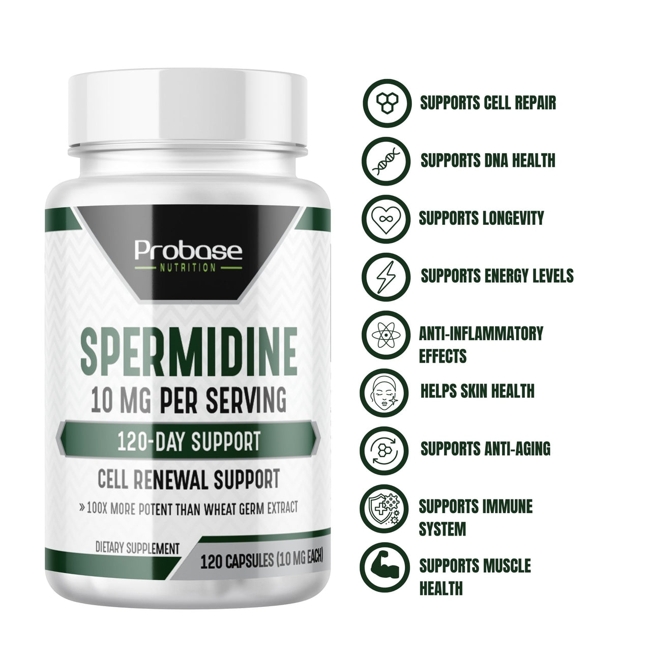 Probase Spermidine Supplement (10mg of 99% Spermidine 3HCL - Third Party Tested) 120 Capsules - Over 100x More Potent Than Wheat Germ Extract for Cell Membrane, Telomere Health and Aging - Probase Nutrition