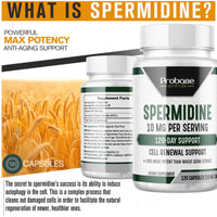 Thumbnail for Probase Spermidine Supplement (10mg of 99% Spermidine 3HCL - Third Party Tested) 120 Capsules - Over 100x More Potent Than Wheat Germ Extract for Cell Membrane, Telomere Health and Aging - Probase Nutrition