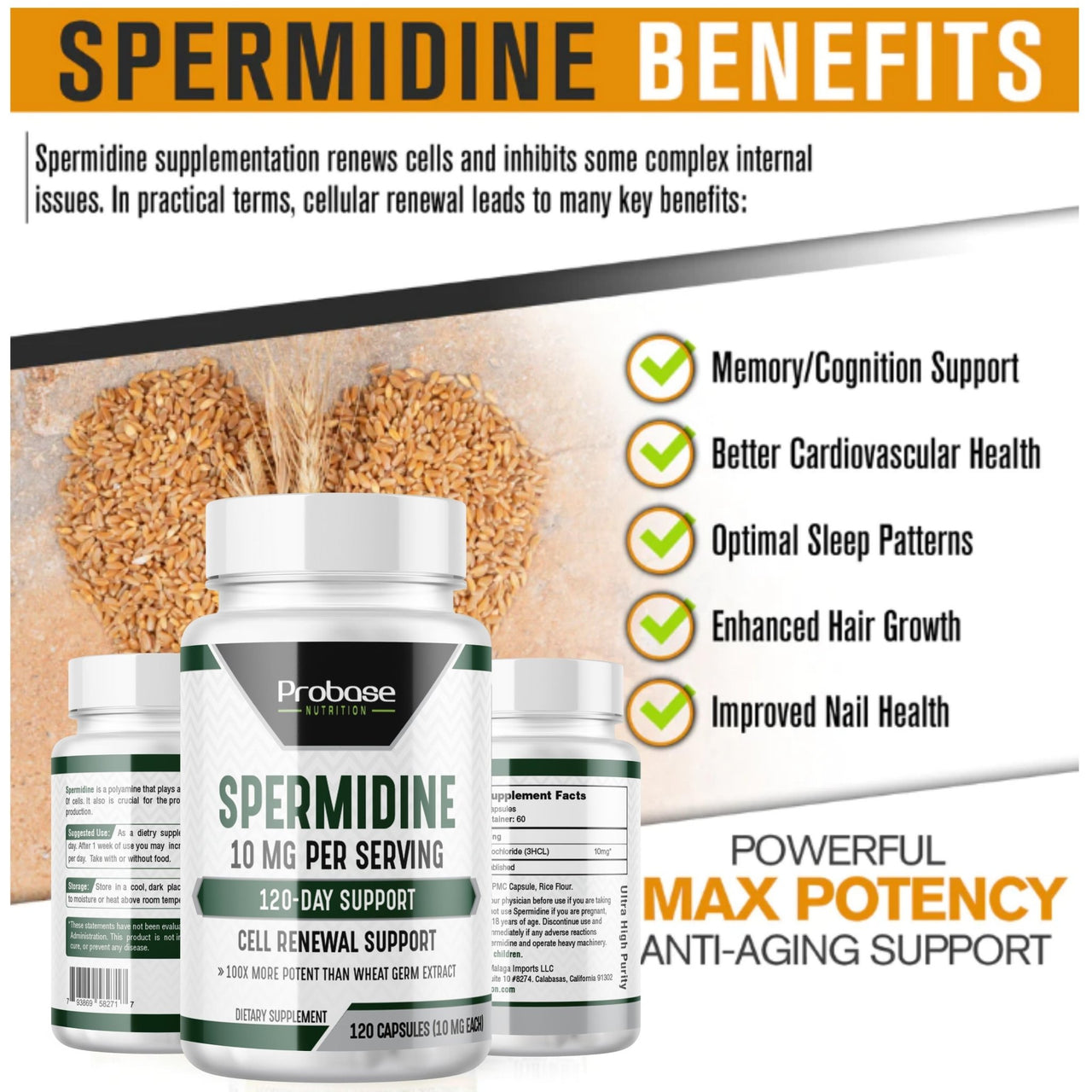 Probase Spermidine Supplement (10mg of 99% Spermidine 3HCL - Third Party Tested) 120 Capsules - Over 100x More Potent Than Wheat Germ Extract for Cell Membrane, Telomere Health and Aging - Probase Nutrition